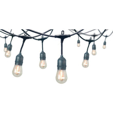 Load image into Gallery viewer, 24-Light 48 Ft. Indoor/Outdoor String Light with S14 Single Filament LED Bulbs