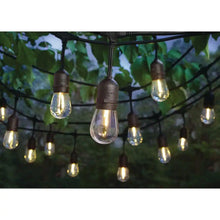 Load image into Gallery viewer, 24-Light 48 Ft. Indoor/Outdoor String Light with S14 Single Filament LED Bulbs