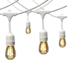 Load image into Gallery viewer, 24-Light 48 Ft. Indoor/Outdoor String Light with S14 Single Filament LED Bulbs