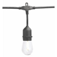 Load image into Gallery viewer, 24-Light 48 Ft. Indoor/Outdoor String Light with S14 Single Filament LED Bulbs